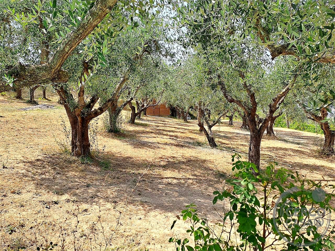 VILLA BIFAMILIARE VENDITA TORGIANO · foto 38