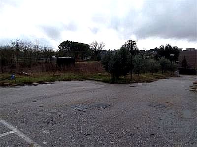 CAPANNONE AFFITTO CITTÀ DI CASTELLO · foto 15