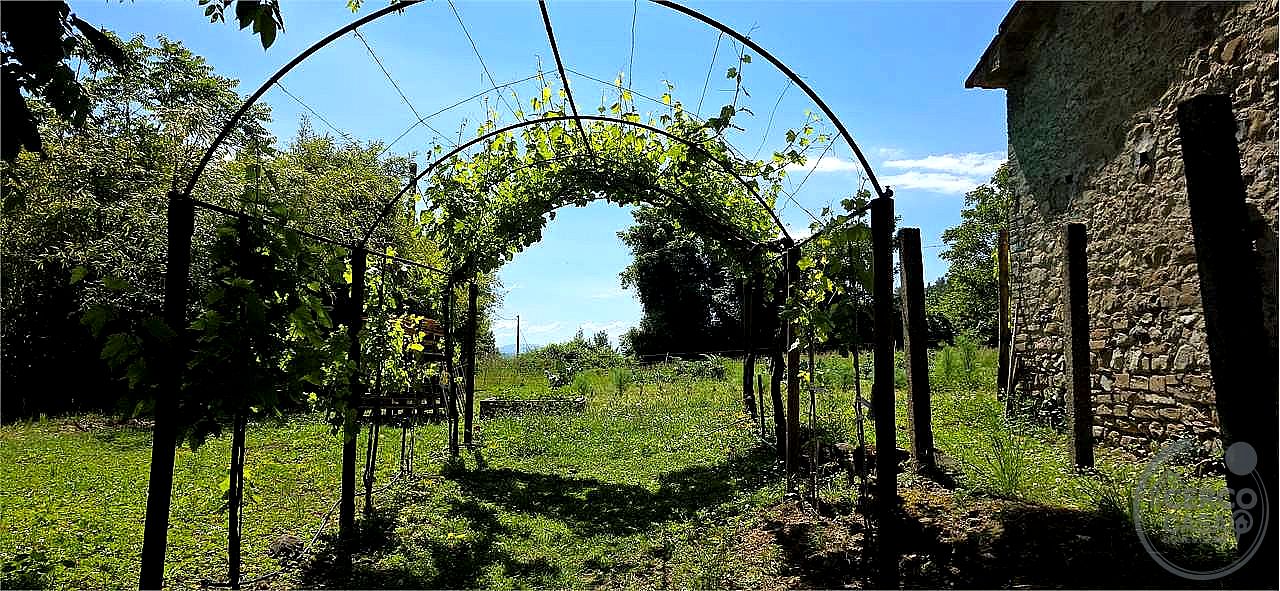 RUSTICO - CASALE VENDITA UMBERTIDE · foto 8