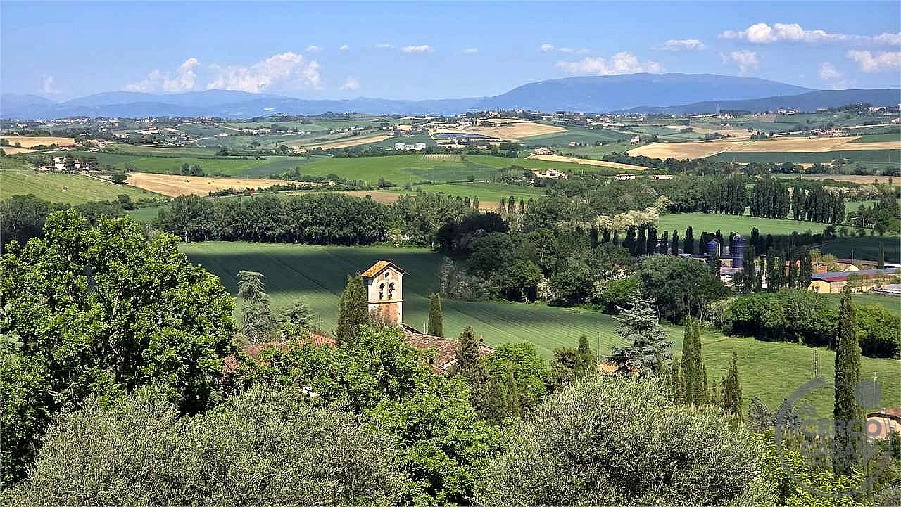 RUSTICO - CASALE VENDITA MARSCIANO MERCATELLO · foto 6