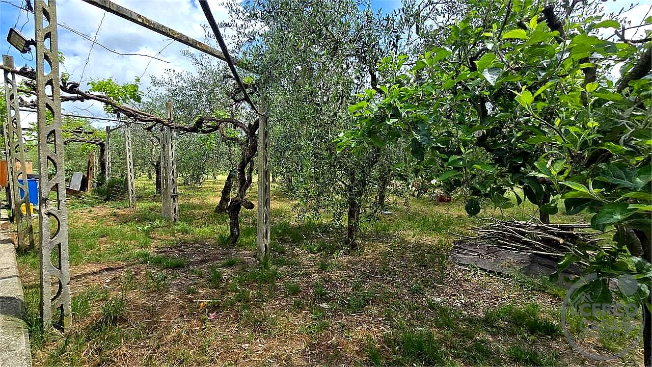 4 O PIÙ LOCALI VENDITA CORCIANO · foto 6