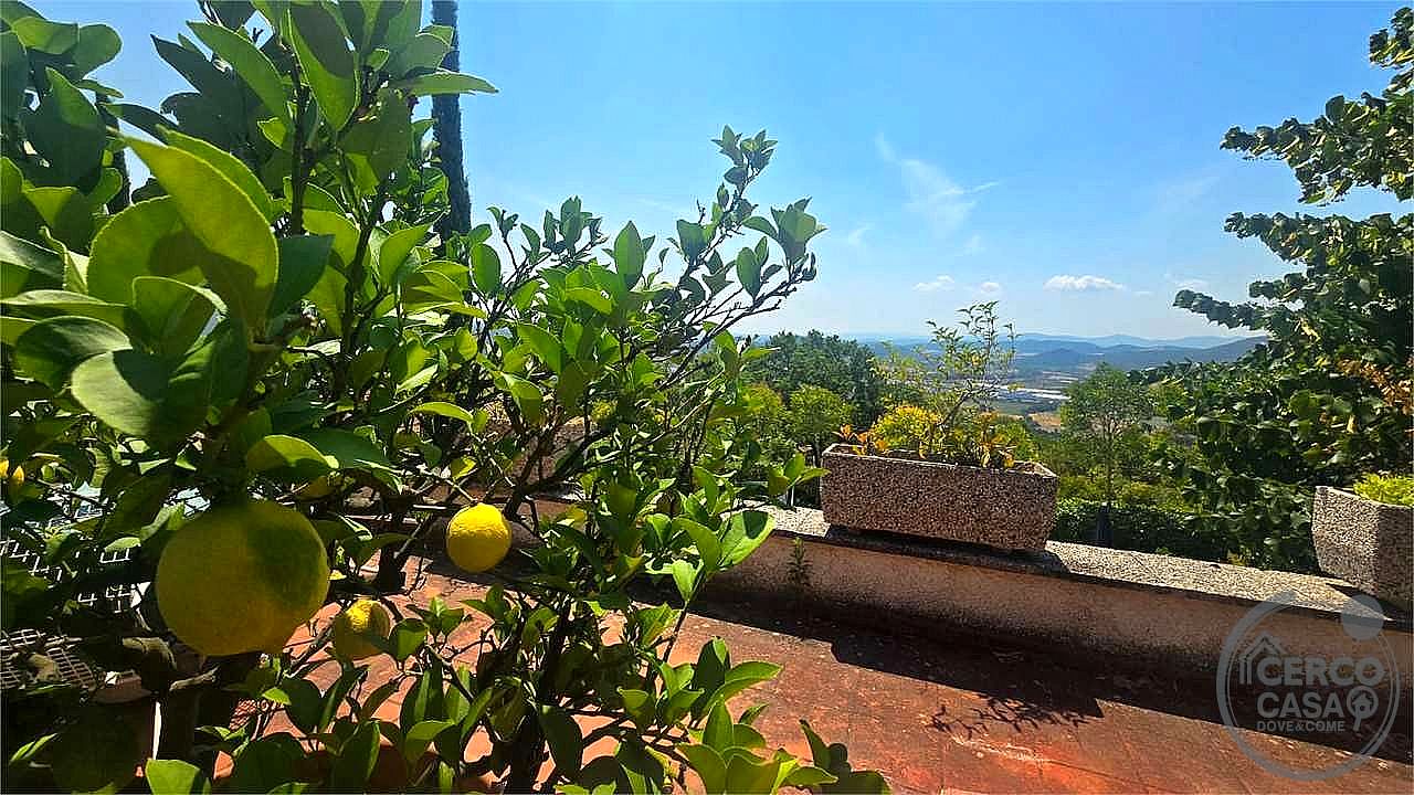 RUSTICO - CASALE VENDITA MAGIONE · foto 19