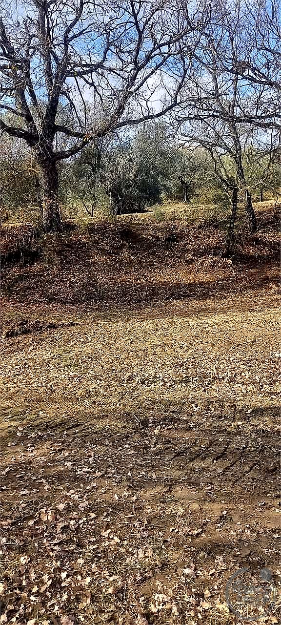 RUSTICO - CASALE VENDITA MARSCIANO COMPIGNANO · foto 11