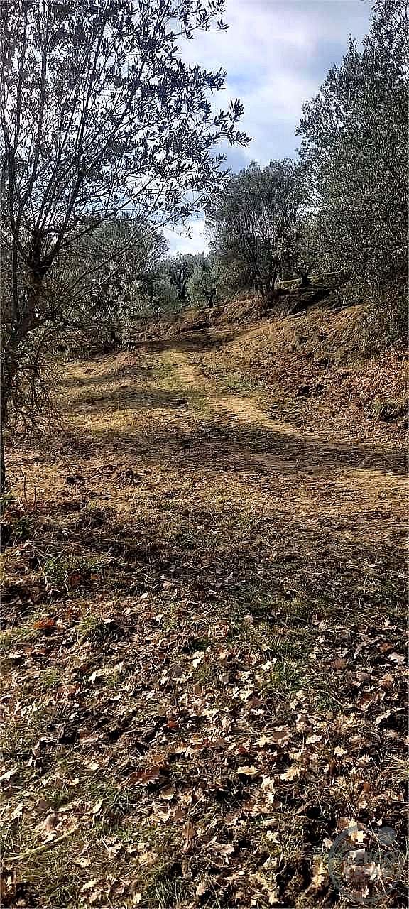 RUSTICO - CASALE VENDITA MARSCIANO COMPIGNANO · foto 13