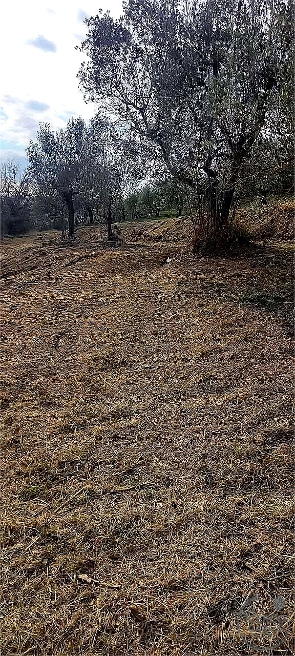 RUSTICO - CASALE VENDITA MARSCIANO COMPIGNANO · foto 14