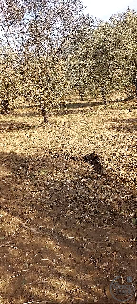 RUSTICO - CASALE VENDITA MARSCIANO COMPIGNANO · foto 16