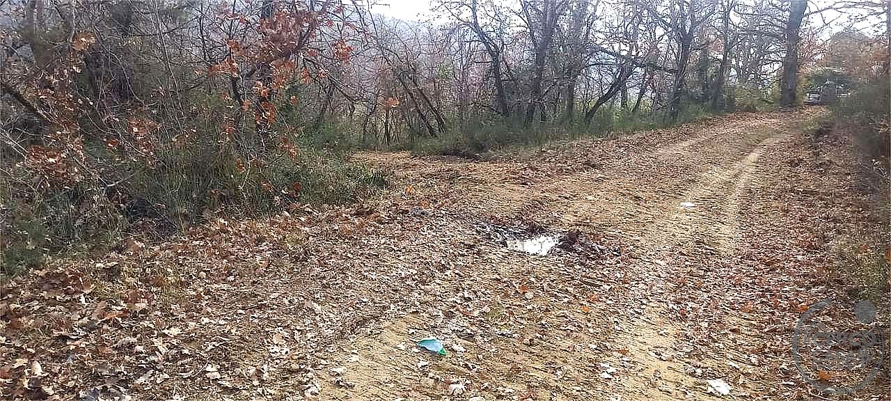 RUSTICO - CASALE VENDITA MARSCIANO COMPIGNANO · foto 17