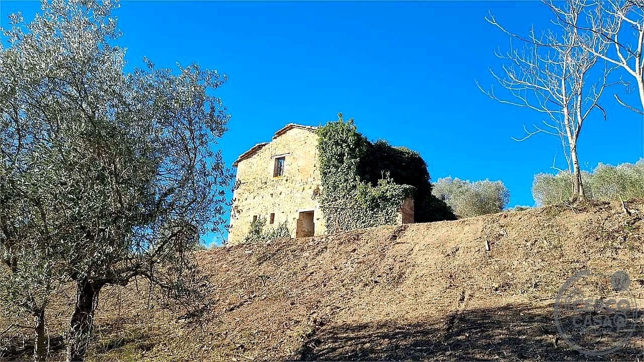 RUSTICO - CASALE VENDITA MARSCIANO COMPIGNANO · foto 22