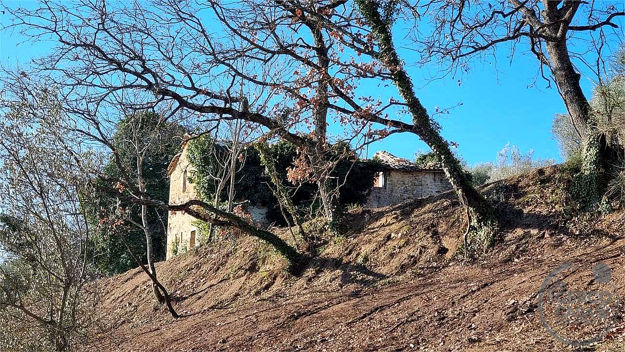 RUSTICO - CASALE VENDITA MARSCIANO COMPIGNANO · foto 24