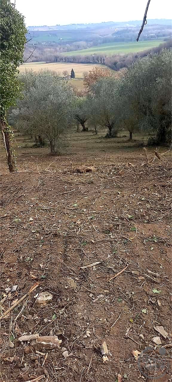 RUSTICO - CASALE VENDITA MARSCIANO COMPIGNANO · foto 9