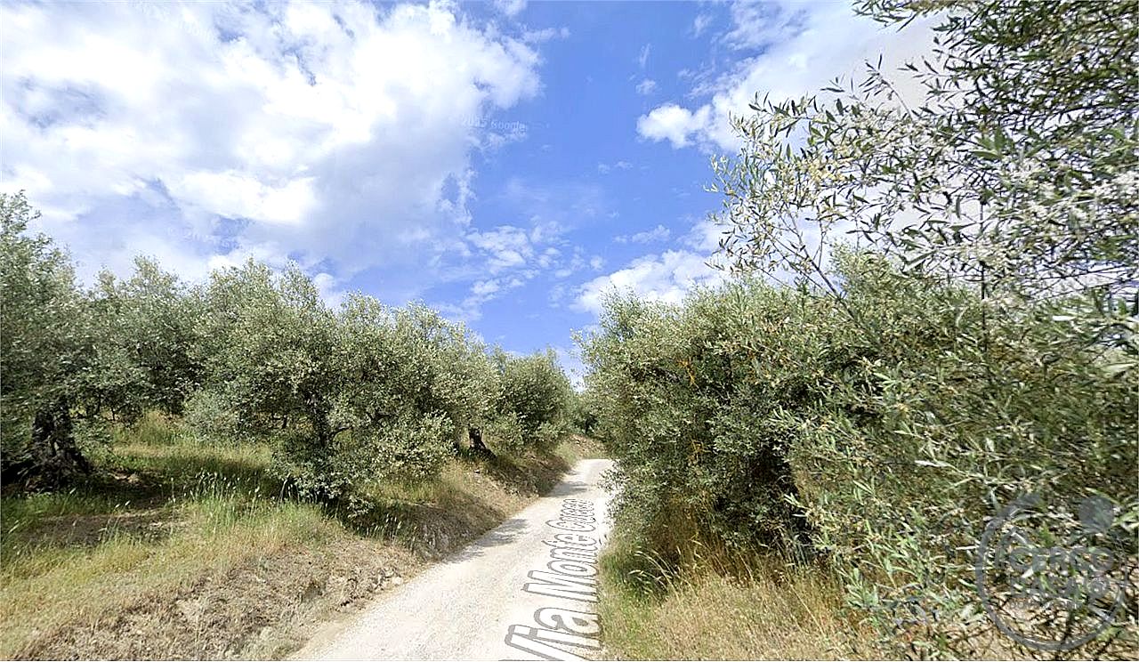 TERRENO AGRICOLO VENDITA MAGIONE SAN FELICIANO · foto 2