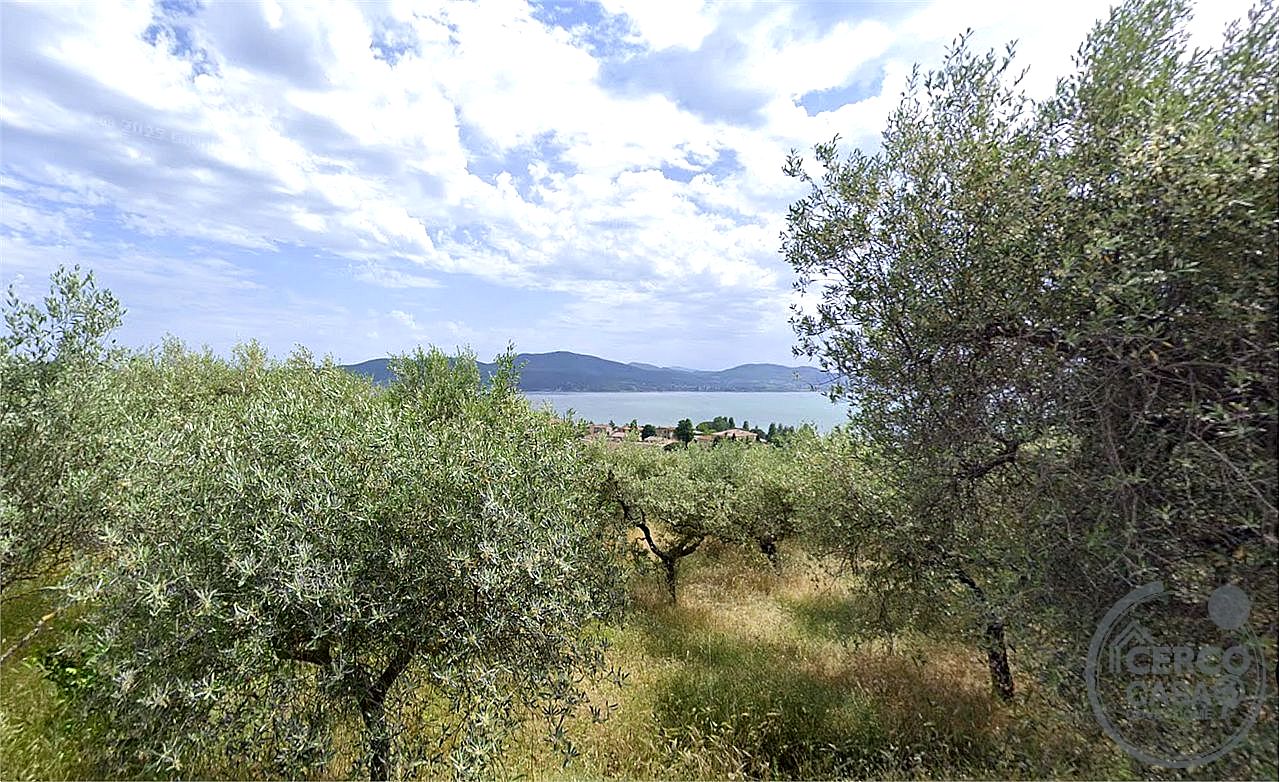 TERRENO AGRICOLO VENDITA MAGIONE SAN FELICIANO · foto 4