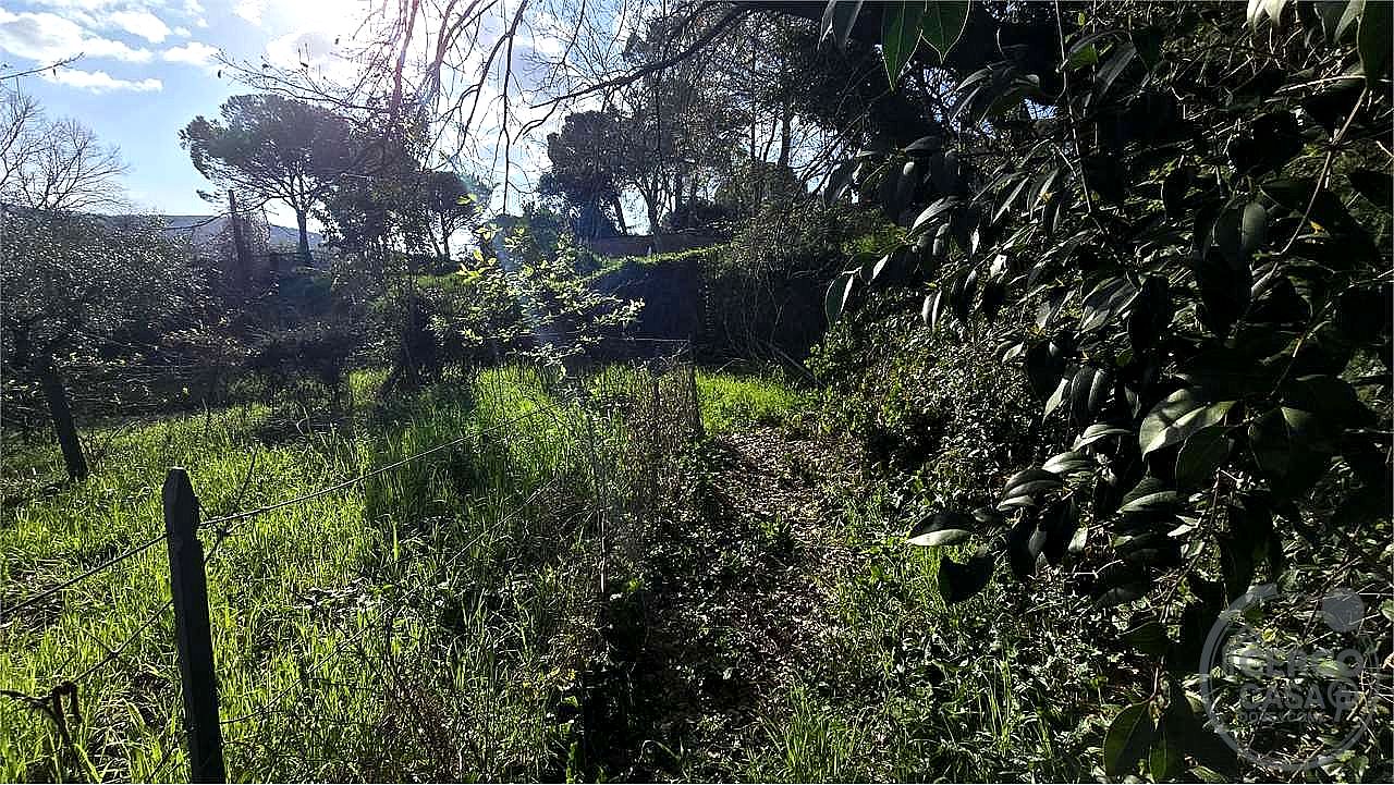 TERRENO EDIFICABILE VENDITA PERUGIA · foto 6