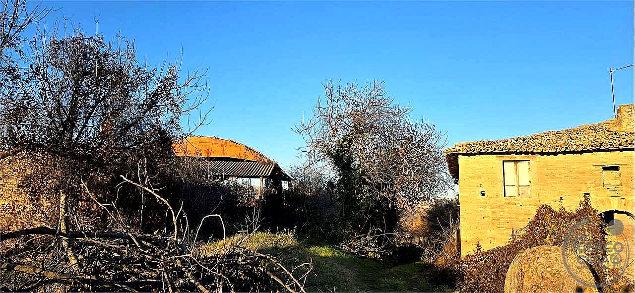 RUSTICO - CASALE VENDITA MONTEFALCO · foto 4