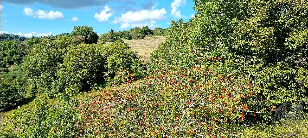 RUSTICO - CASALE VENDITA GUBBIO · foto 13
