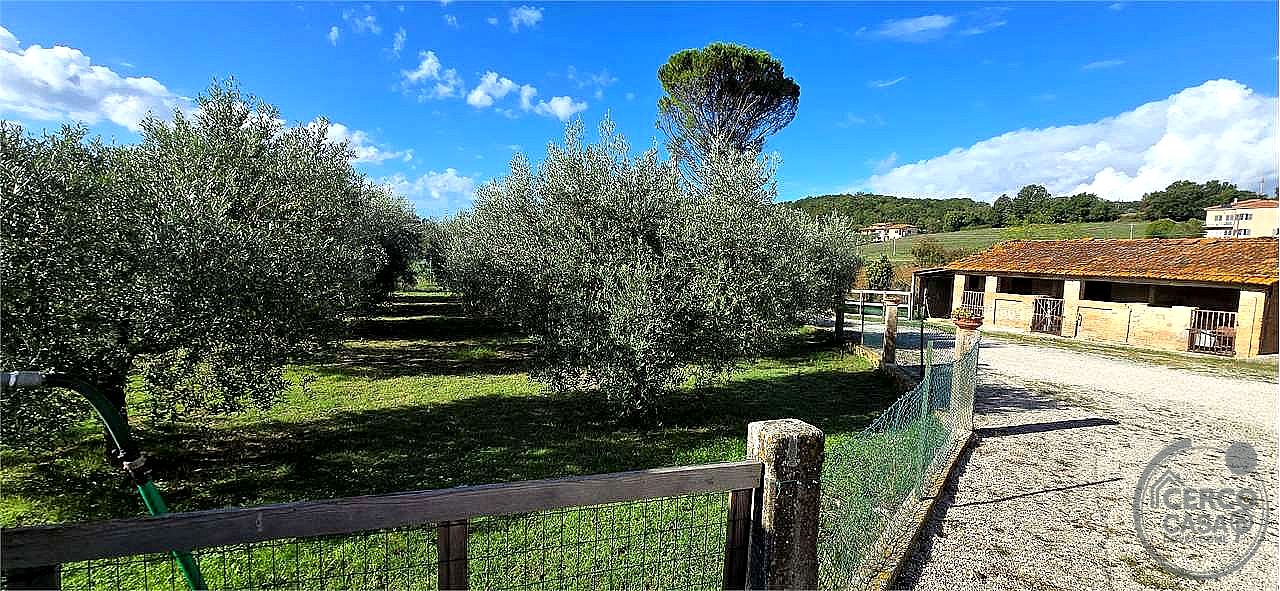 RUSTICO - CASALE VENDITA PERUGIA PICCIONE · foto 18