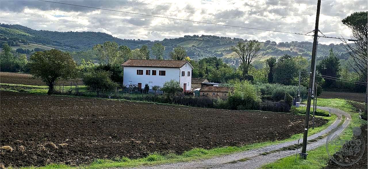 RUSTICO - CASALE VENDITA PERUGIA PICCIONE · foto 24