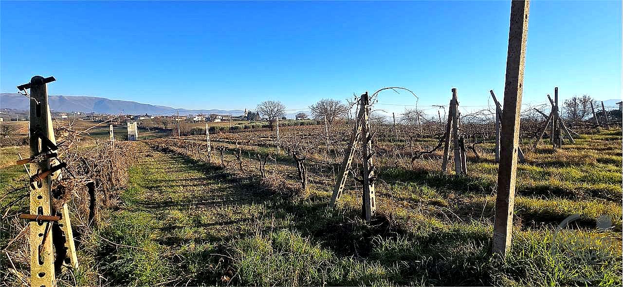 VILLA BIFAMILIARE VENDITA MONTEFALCO · foto 8