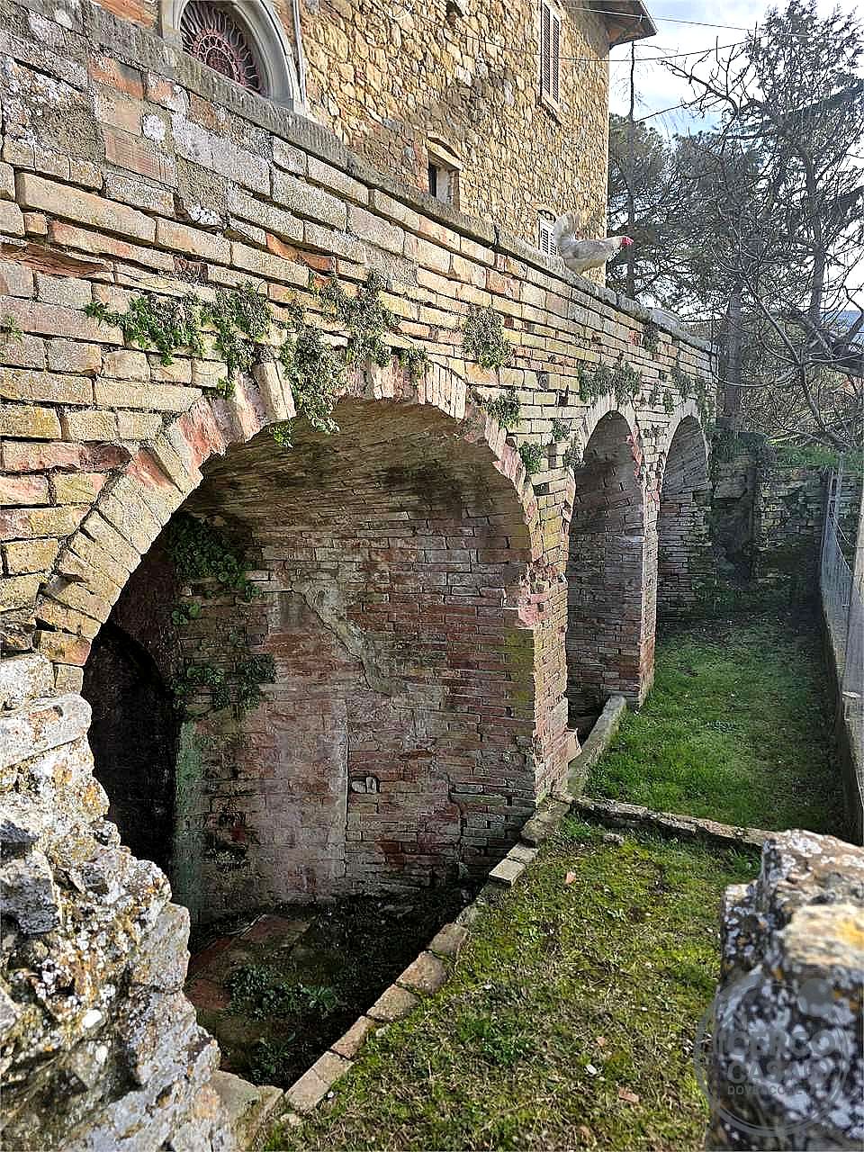 4 O PIÙ LOCALI VENDITA MAGIONE · foto 18