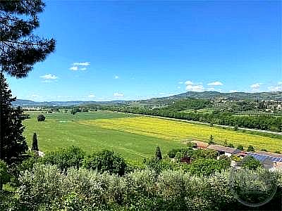 4 O PIÙ LOCALI VENDITA MAGIONE · foto 37