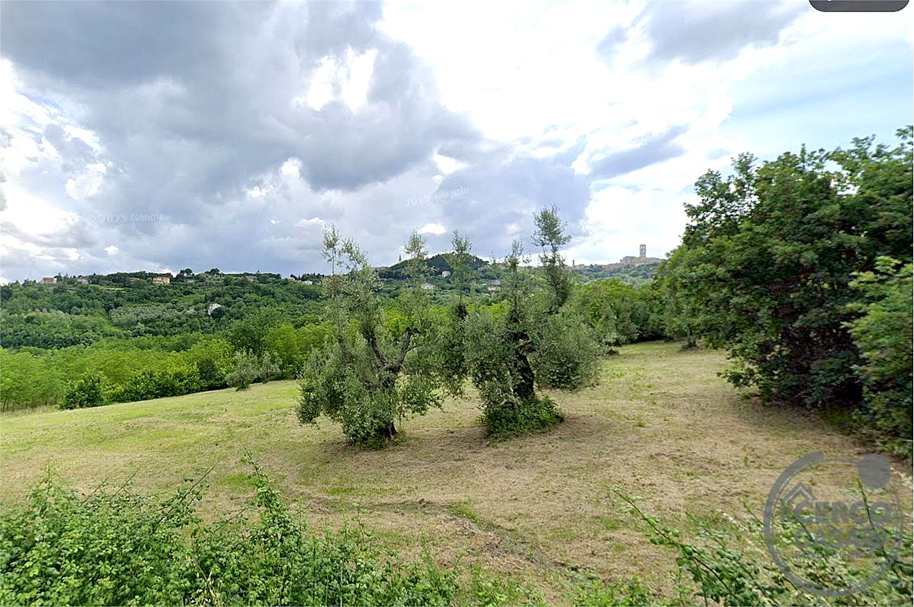 TERRENO AGRICOLO VENDITA PERUGIA MONTELUCE · foto 3