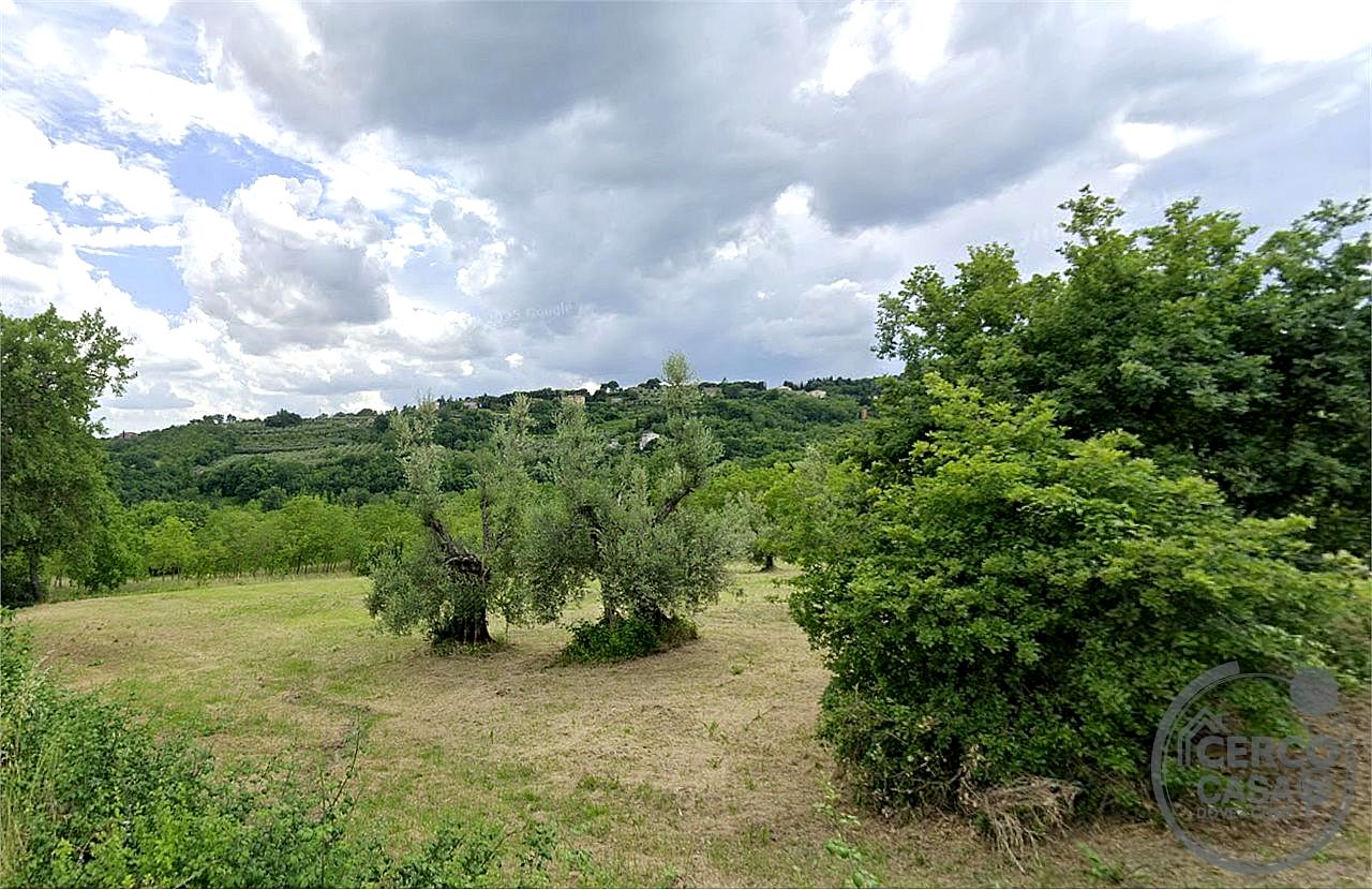 TERRENO AGRICOLO VENDITA PERUGIA MONTELUCE · foto 4