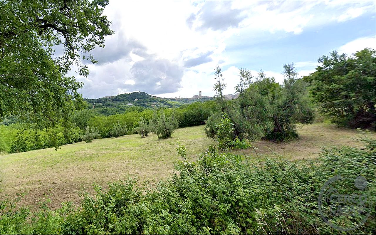 TERRENO AGRICOLO VENDITA PERUGIA MONTELUCE · foto 5