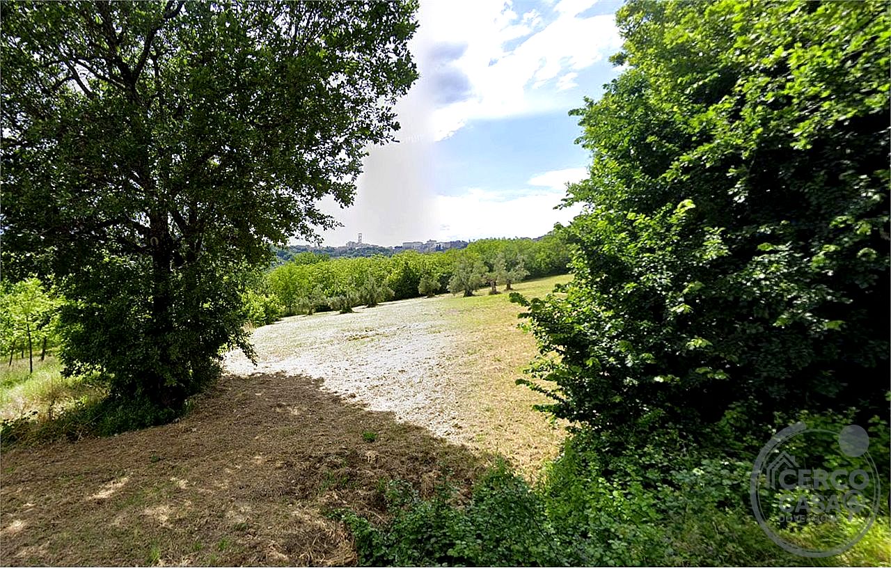 TERRENO AGRICOLO VENDITA PERUGIA MONTELUCE · foto 6