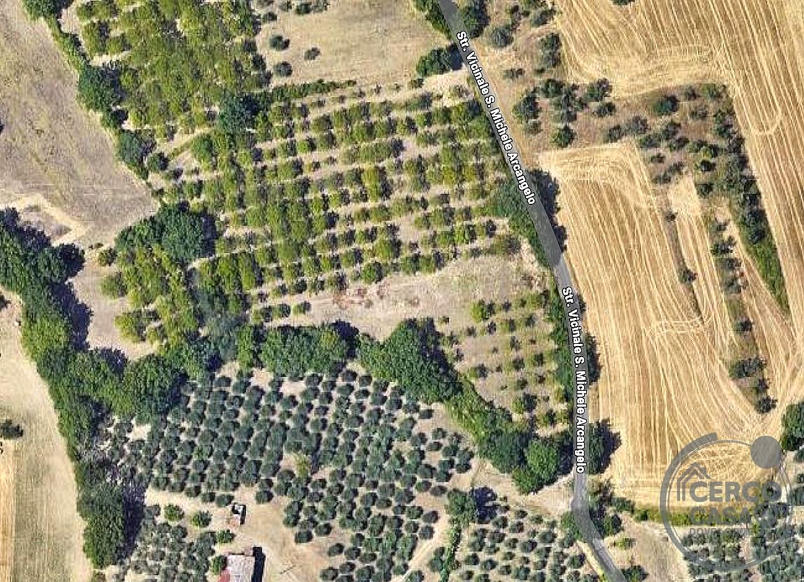 TERRENO AGRICOLO VENDITA PERUGIA MONTELUCE · foto 7