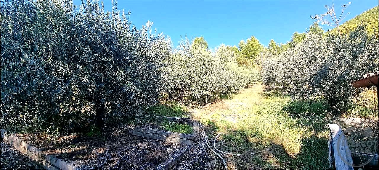 APPARTAMENTO VENDITA CAMPELLO SUL CLITUNNO · foto 27