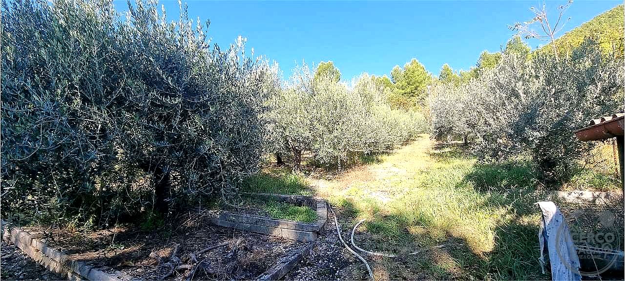 APPARTAMENTO VENDITA CAMPELLO SUL CLITUNNO · foto 3