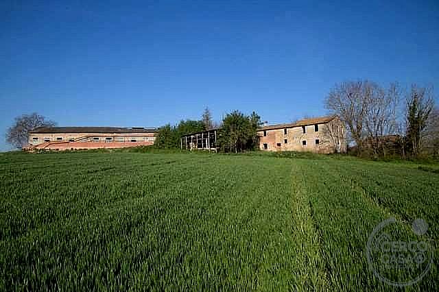 RUSTICO - CASALE VENDITA MARSCIANO VILLANOVA · foto 1