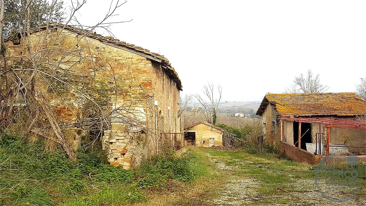 RUSTICO - CASALE VENDITA MARSCIANO VILLANOVA · foto 15