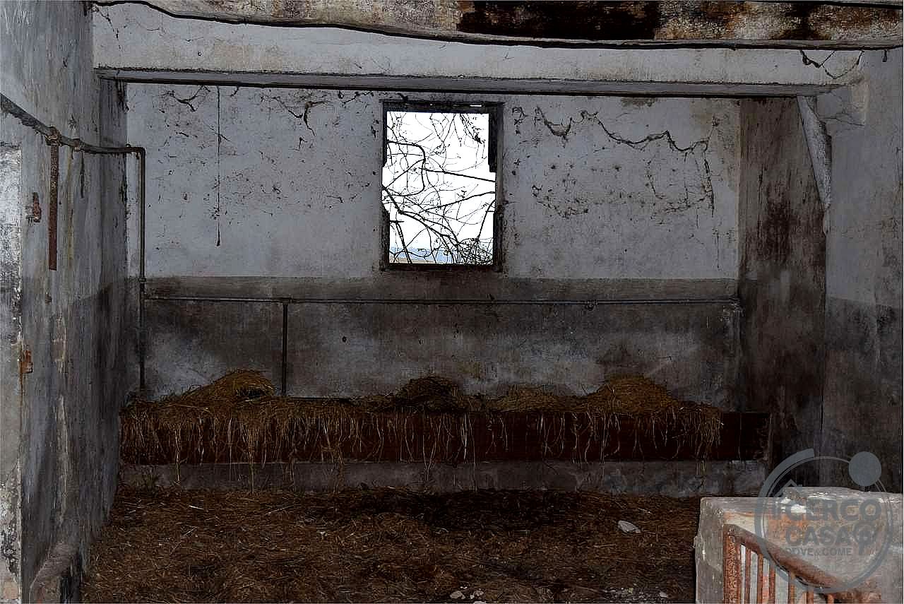RUSTICO - CASALE VENDITA MARSCIANO VILLANOVA · foto 17