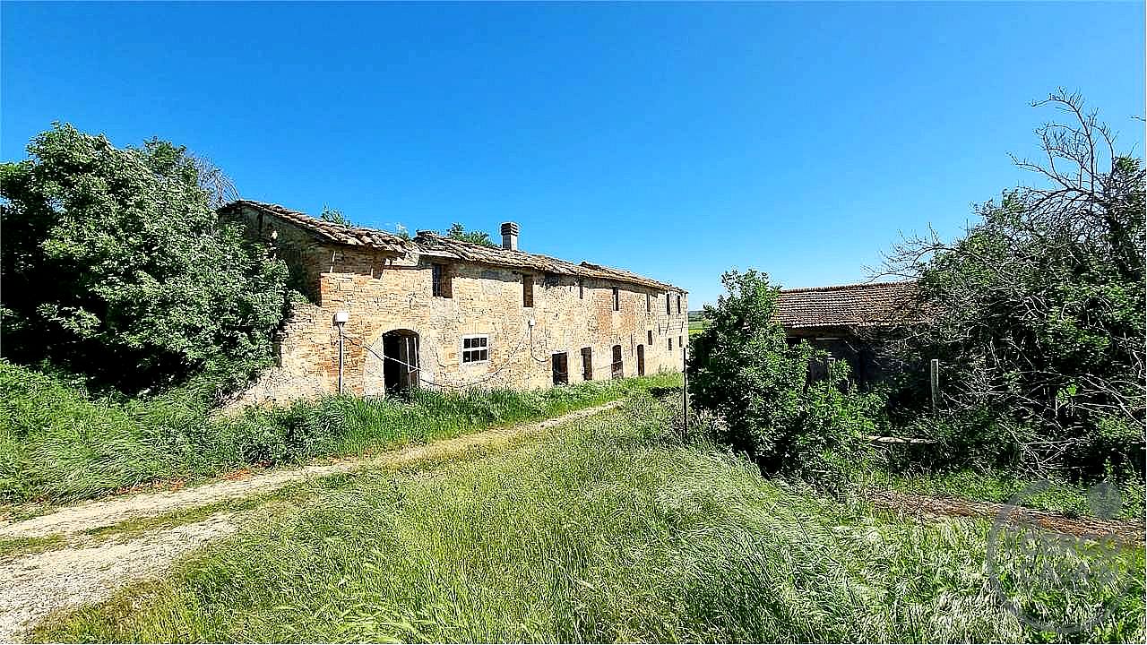 RUSTICO - CASALE VENDITA MARSCIANO VILLANOVA · foto 4