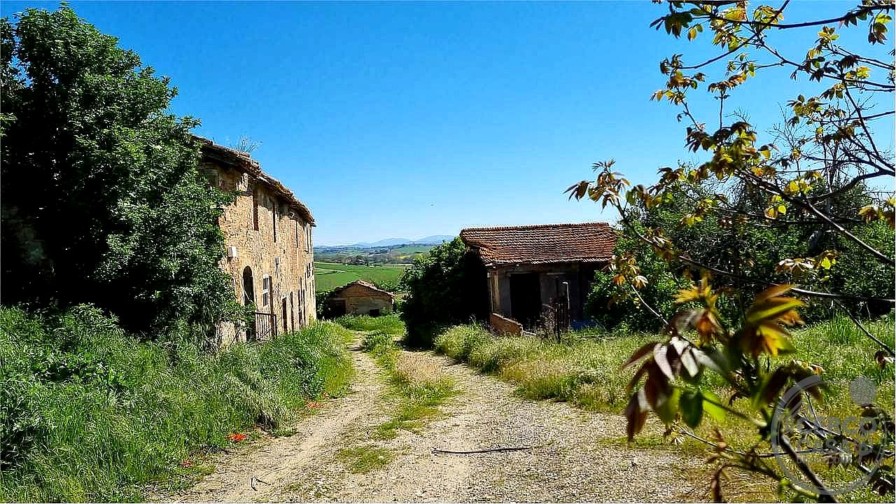RUSTICO - CASALE VENDITA MARSCIANO VILLANOVA · foto 9