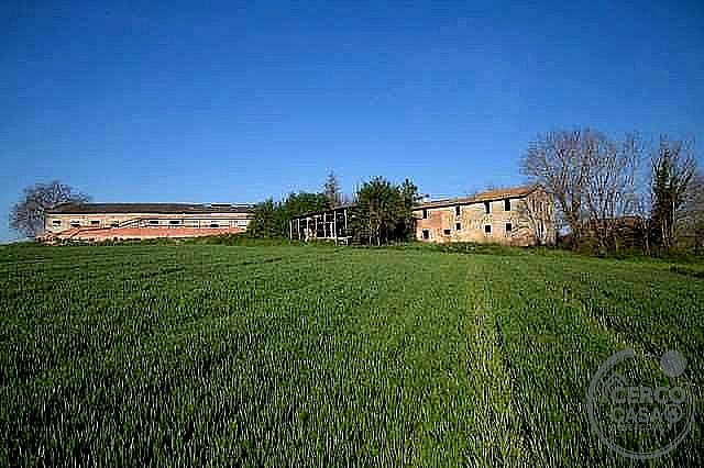 RUSTICO - CASALE VENDITA MARSCIANO VILLANOVA