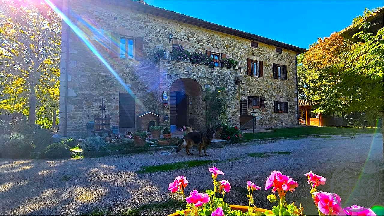 RUSTICO - CASALE VENDITA CORCIANO MANTIGNANA · foto 9