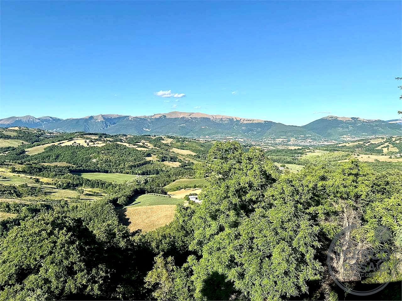AZIENDA AGRICOLA VENDITA NOCERA UMBRA · foto 15