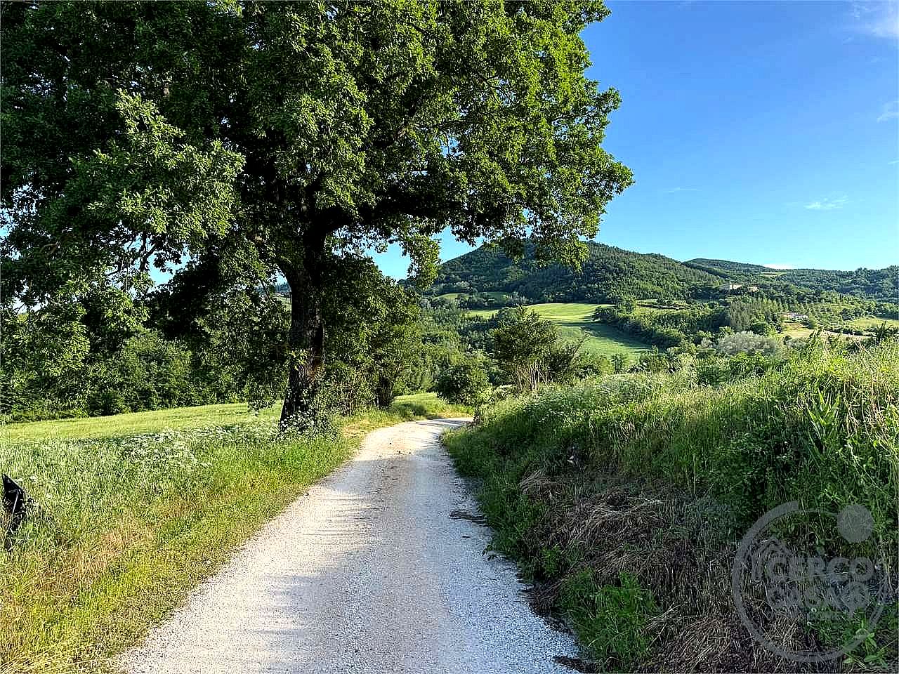 AZIENDA AGRICOLA VENDITA NOCERA UMBRA · foto 19