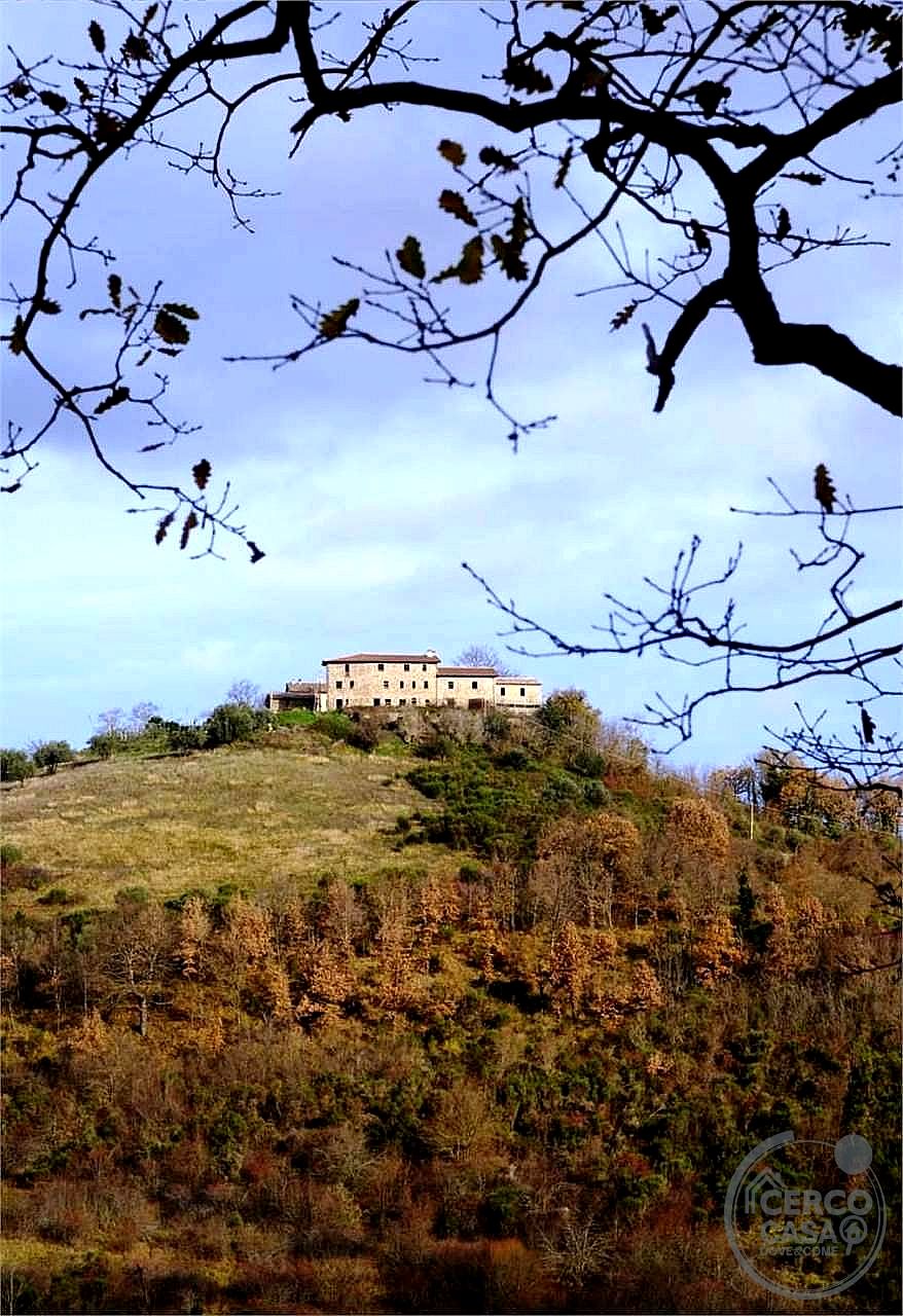 AZIENDA AGRICOLA VENDITA NOCERA UMBRA · foto 4