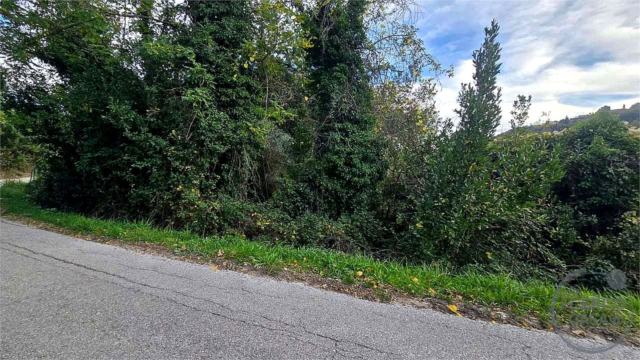 TERRENO AGRICOLO VENDITA PERUGIA MONTELAGUARDIA · foto 11