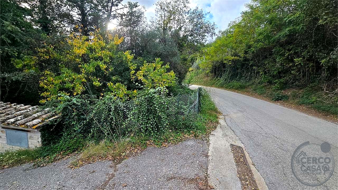 TERRENO AGRICOLO VENDITA PERUGIA MONTELAGUARDIA · foto 13