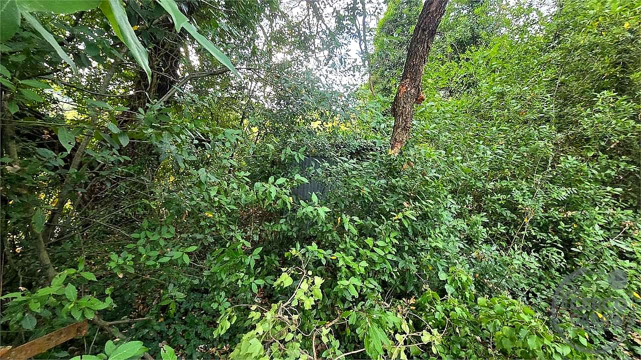 TERRENO AGRICOLO VENDITA PERUGIA MONTELAGUARDIA · foto 5