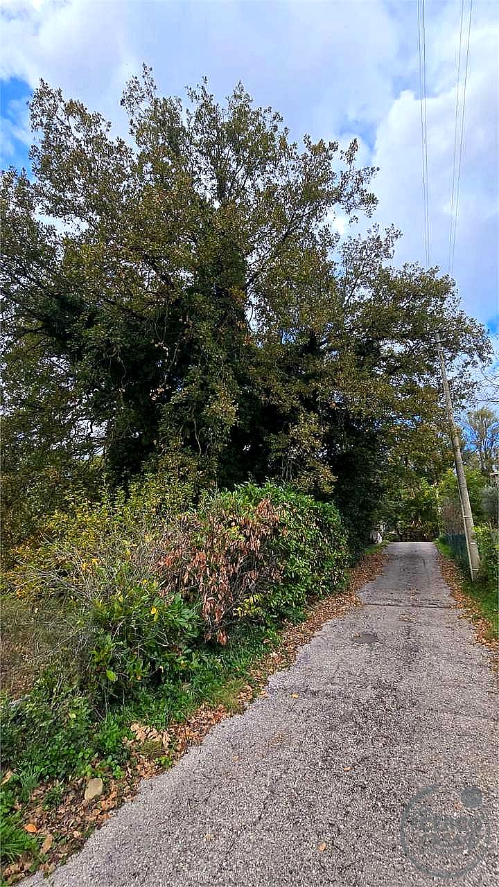 TERRENO AGRICOLO VENDITA PERUGIA MONTELAGUARDIA · foto 6