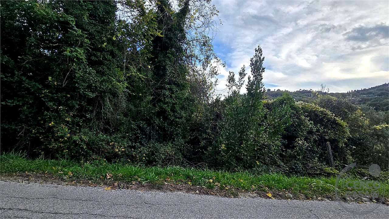 TERRENO AGRICOLO VENDITA PERUGIA MONTELAGUARDIA · foto 8
