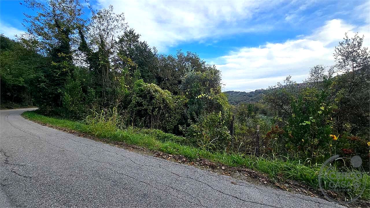 TERRENO AGRICOLO VENDITA PERUGIA MONTELAGUARDIA · foto 9