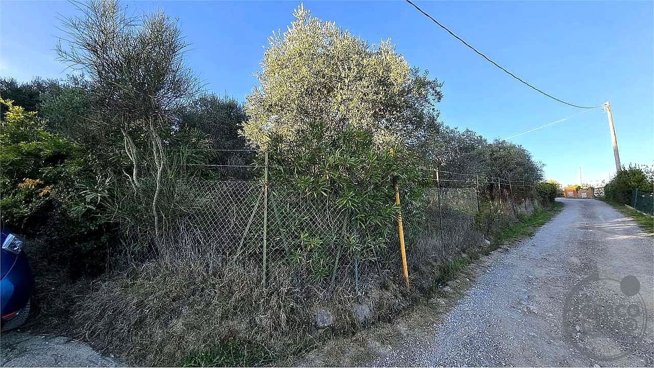 TERRENO AGRICOLO VENDITA PERUGIA · foto 10