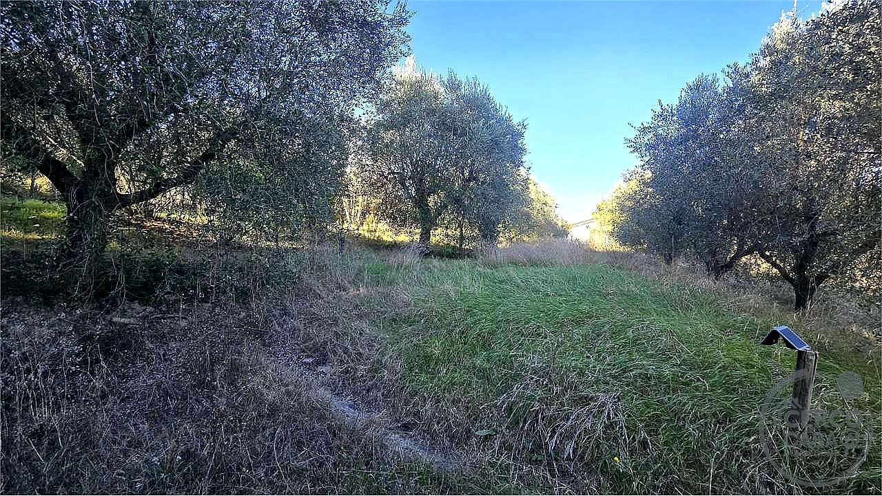 TERRENO AGRICOLO VENDITA PERUGIA · foto 12