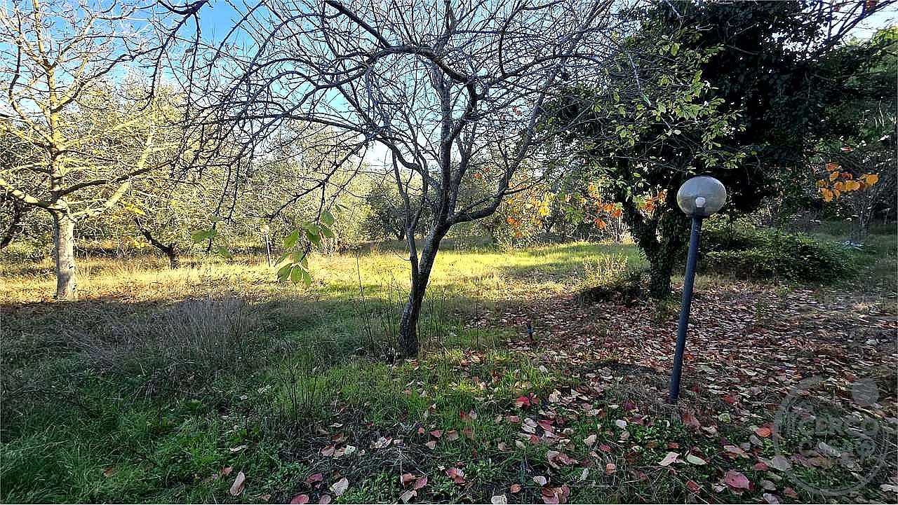 TERRENO AGRICOLO VENDITA PERUGIA · foto 14